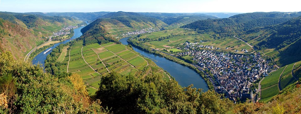 The Moselle and vineyards