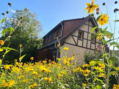 Naturhotel - Ökoheizung: Holzheizung: ja, Scheitholz - Struppen - Ferienhaus "Rosenscheune", Blick aus dem Gemüsegarten - BIO-NATURIDYLL WIESENGRUND