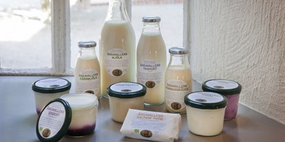 Naturhotel - Bio-Küche: Laktosefreie Kost möglich - Vellinge - Ängavallen