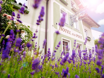 Nature hotel - Rezeption: 15 h - Hausansicht außen - Das Grüne Hotel zur Post - 100% BIO