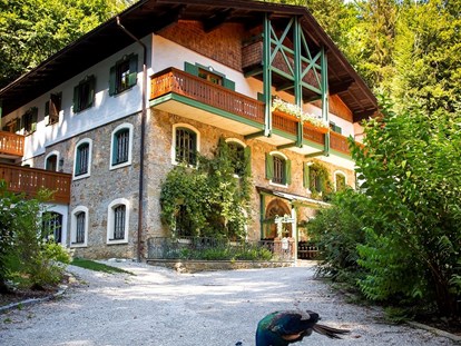 Naturhotel - Green Meetings werden angeboten - Salzburg - Hotel im Wald Hammerschmiede - Hotel Naturidyll Hammerschmiede 