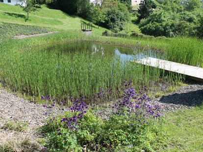 Naturhotel - Mitarbeiterbetreuung: Bio-Verpflegung - Hessen - Naturbadeteich auf der Sonnenwiese direkt am Nationalpark - BELVEDERE-das BIO Hotel garni & SuiteHotel am Edersee