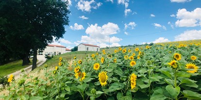 Naturhotel - Ökoheizung: Wärmepumpe - Ancona - Sunflower around our home - RITORNO ALLA NATURA