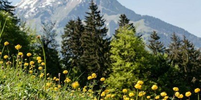 Naturhotel - barrierefrei: Teilweise barrierefrei - Bern - Natur rund ums ChieneHuus - ChieneHuus