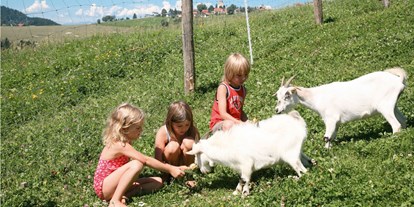 Naturhotel - Familienzimmer - Kärnten - Tiere streicheln beim Bio-Urlaub auf dem Bauernhof - Bio-Bauernhof Petschnighof