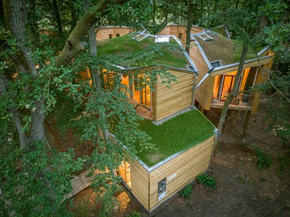 Nature hotel - Energieversorgung: 100 % Ökostrom - Das Baumhausdorf in der Göhrde - BIO-Hotel Kenners LandLust