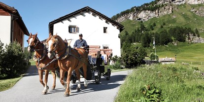 Naturhotel - Bio-Küche: Rein vegetarische Küche - Graubünden - Kutschenfahrt ist Fextal - Chesa Pool