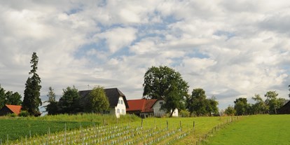 Naturhotel - Wasserbehandlung/ Energetisierung: Nicht vorhanden - Süd & West Steiermark - Kellerstöckl am veganen Bio-Lebenshof "Varm - die vegane Farm"