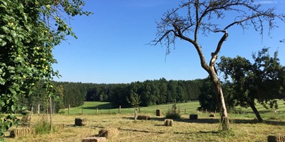 Naturhotel - DEHOGA-Sterne: nein - Kellerstöckl am veganen Bio-Lebenshof "Varm - die vegane Farm"