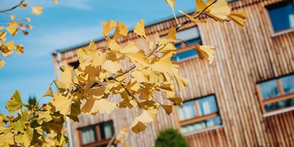 Nature hotel - Bezahlsysteme: PayPal - 3 neue Lärchen-Holz und Lehmgebäude (von Rubens Holzbau, Südtirol), in denen die kleinste Zimmereinheit, die Klausen, sich befinden.   - TamanGa Lebensgarten