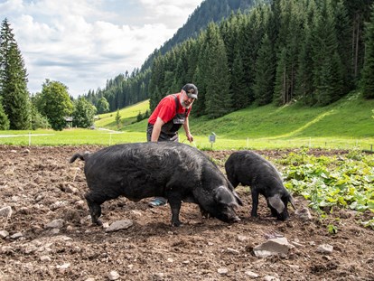 Nature hotel - Bonus bei Anreise mit öffentlichen Verkehrsmitteln - Jeremias Riezler und seine kleine Alpschwein Zucht - Biohotel Walserstuba