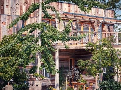 Naturhotel - Aktivurlaub möglich - Oberösterreich - Übernachte im Doppelzimmer Maple Tree und Parquet oder im Apartment Dome - der baum