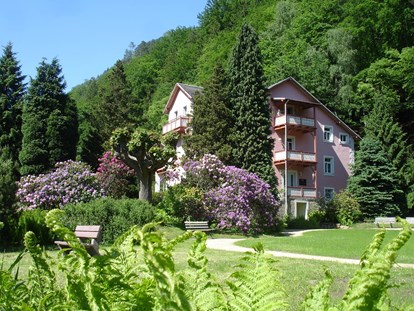 Naturhotel - Umgebungsschwerpunkt: Fluss - Struppen - Bio-BoutiqueHotel Villa Waldfrieden