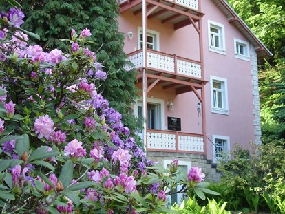 Nature hotel - Umgebungsschwerpunkt: Wald - Bio-BoutiqueHotel Villa Waldfrieden