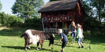 Naturhotel - Hunde erlaubt - Schweden - Kinder mit einer Ziege. - Lilla Sverigebyn