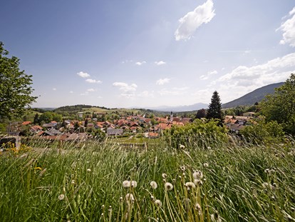 Nature hotel - Umgebungsschwerpunkt: Wald - Urlaub im Herzen der Ammergauer Alpen. - moor&mehr Bio-Kurhotel