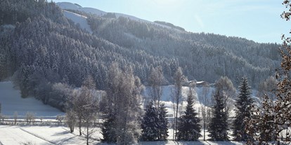 Naturhotel - Müllmanagement: Mülltrennung - Tiroler Unterland - Ausblick aus unserem Zimmer - Bruggerhof – Camping, Restaurant, Hotel