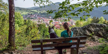 Naturhotel - Umgebungsschwerpunkt: Berg - Bayerischer Wald - Ihr Biohotel in Bodenmais, Bayern - Die BIO Sportpension