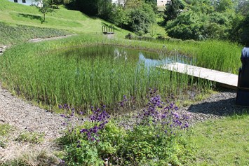 Biohotel: Naturbadeteich auf der Sonnenwiese direkt am Nationalpark - BELVEDERE-das BIO Hotel garni & SuiteHotel am Edersee