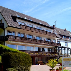 Biohotel: Ferienhotel BELVEDERE - BELVEDERE-das BIO Hotel garni & SuiteHotel am Edersee