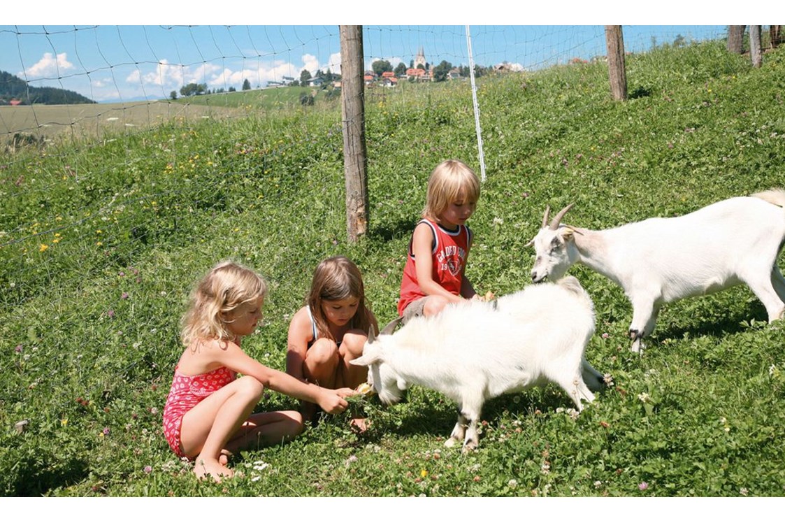 Biohotel: Tiere streicheln beim Bio-Urlaub auf dem Bauernhof - Bio-Bauernhof Petschnighof