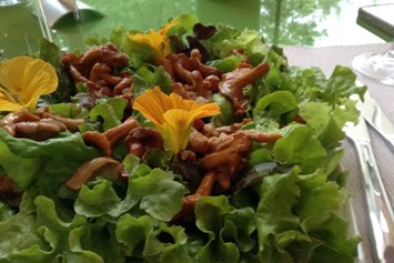 Biohotel: Vegane TCM Küche - viele der Zutaten für das Essen stammen aus eigenem Anbau oder aus aus biologischer Landwirtschaft - Veganer Gasthof zum Ederplan