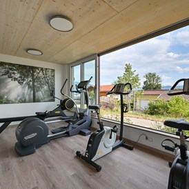 Biohotel: Hotel-Fitness-Studio für Sport und Workout mit Blick zu den Bergen - Biohotel Eggensberger