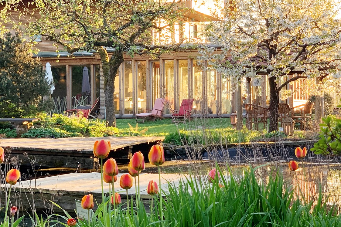 Biohotel: idyllischer Garten mit Teich  - Rosenberg Ayurveda Gesundheits- und Kurzentrum