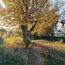 Biohotel: Herbst Biohotel Schlossgut Oberambach - Schlossgut Oberambach