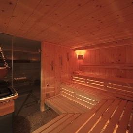 Biohotel: Finnische Sauna - Bio-Thermalhotel Falkenhof
